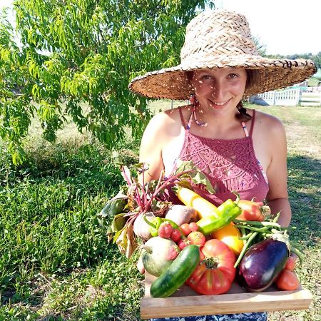 La Petite Ferme De Pouillon - Parc Animalier - Aire De Loisirs Bed & Breakfast エクステリア 写真