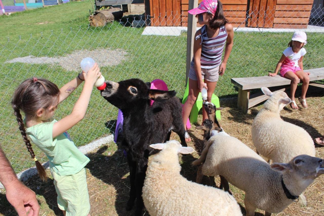 La Petite Ferme De Pouillon - Parc Animalier - Aire De Loisirs Bed & Breakfast エクステリア 写真