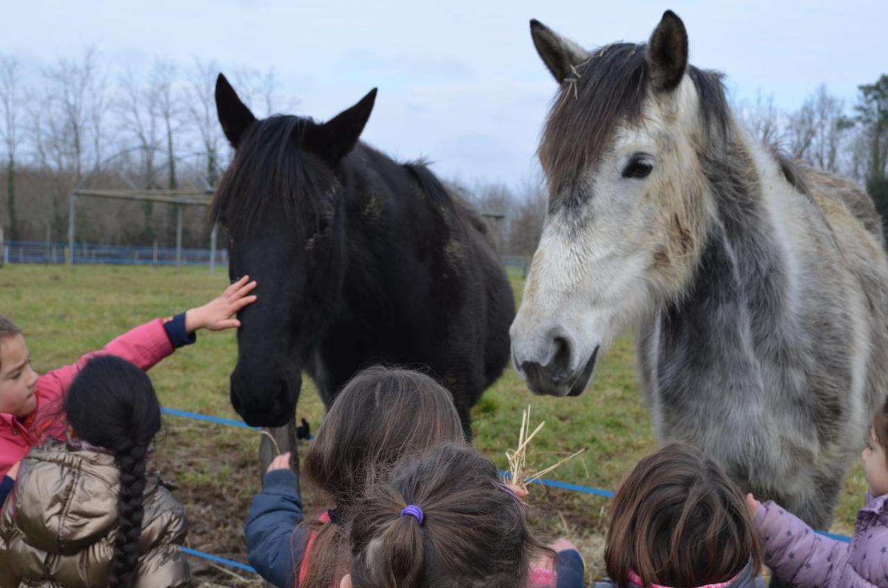 La Petite Ferme De Pouillon - Parc Animalier - Aire De Loisirs Bed & Breakfast エクステリア 写真