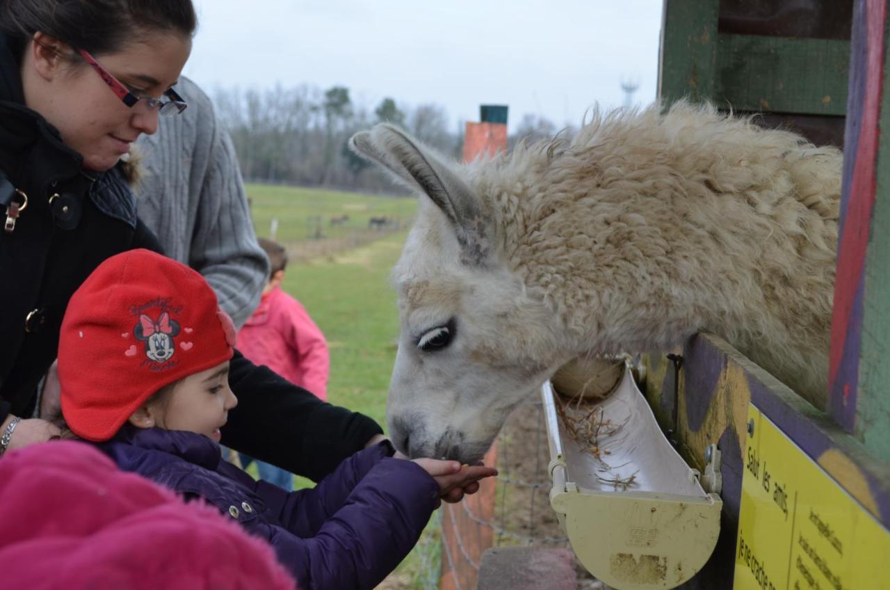 La Petite Ferme De Pouillon - Parc Animalier - Aire De Loisirs Bed & Breakfast エクステリア 写真